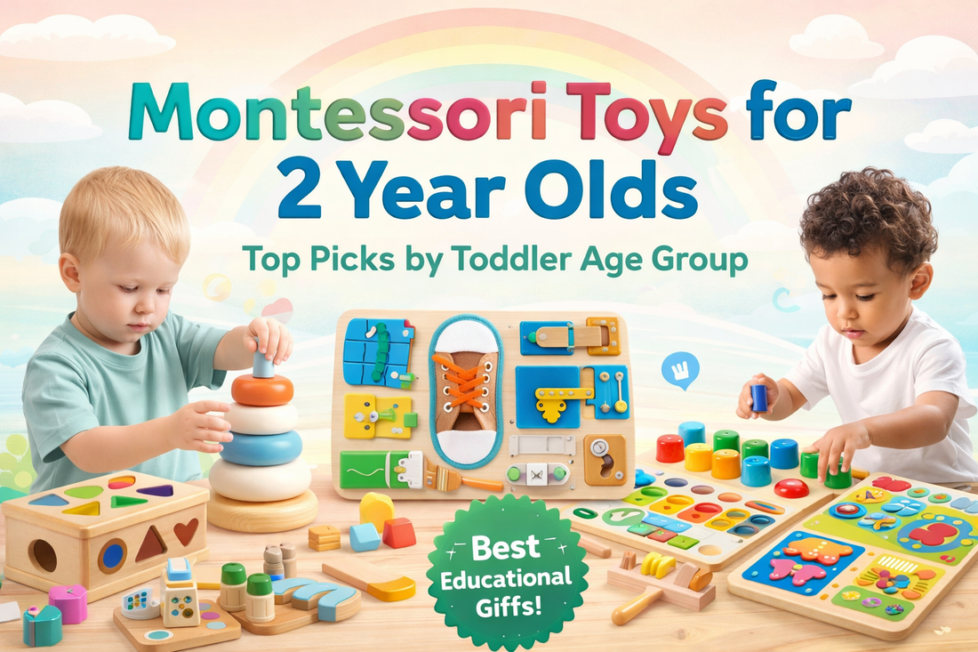 Montessori Toys for 2 Year Olds