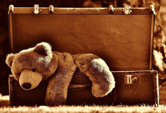Expert Advice on Choosing the Perfect Plush Toy for Your Child's Development - Home Kartz