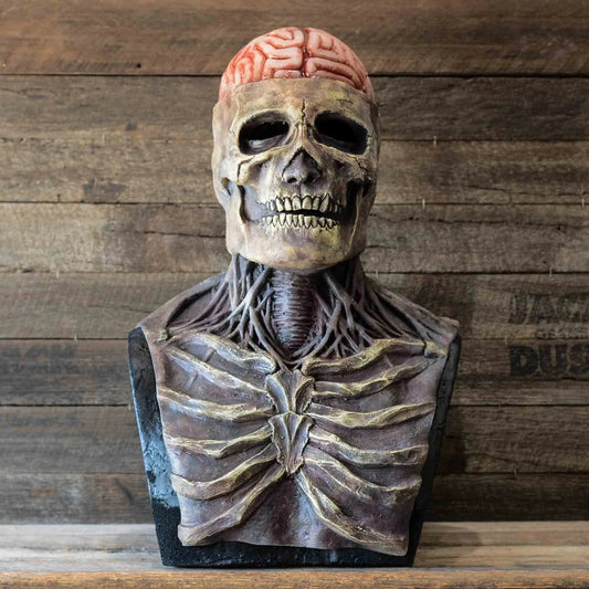 Full Head Skull Skeleton Mask - Realistic Halloween Mask - Home Kartz