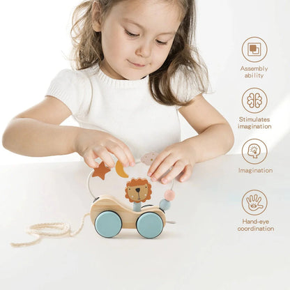 Wooden Montessori Puzzle Toy | Educational Puzzles For Kids - Home Kartz