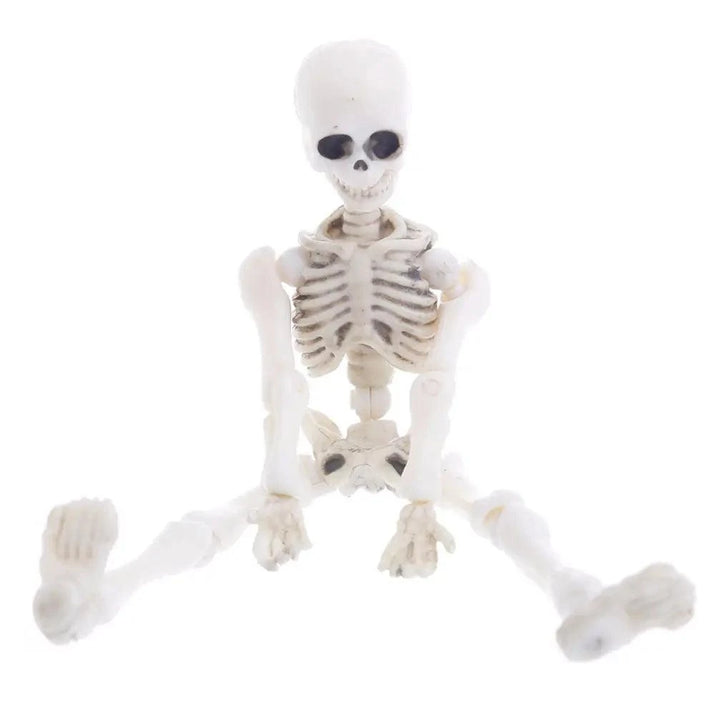 Explore Anatomy with Movable Mr. Bones Skeleton - Fully Articulated, Durable, & Lifelike Skeleton Model - Home Kartz