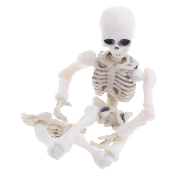 Explore Anatomy with Movable Mr. Bones Skeleton - Fully Articulated, Durable, & Lifelike Skeleton Model - Home Kartz