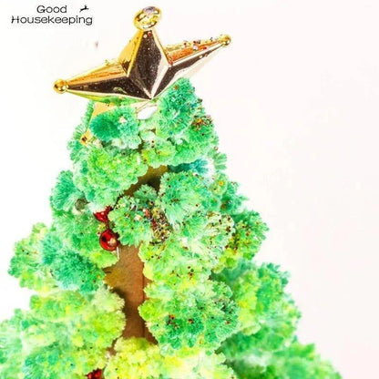 Magic Growing Christmas Tree Toy – Watch Your Holiday Spirit Grow - Home Kartz