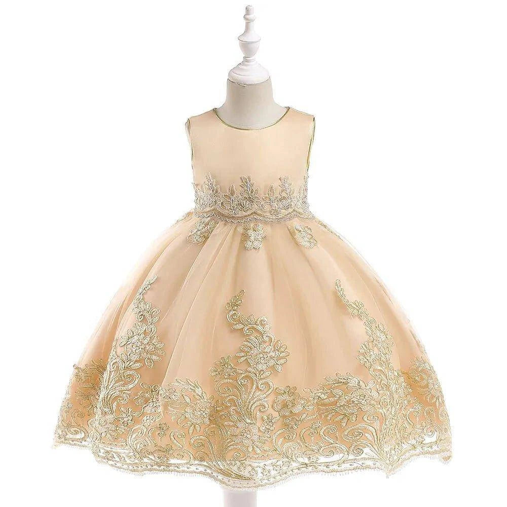Enchanting Princess Dress with Stunning Applique Details for Ages 3 to 10 Years! - Home Kartz