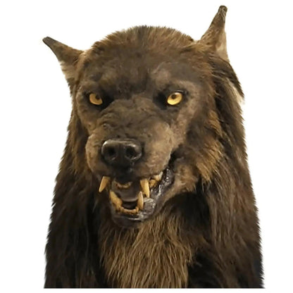 Scary Halloween Wolf Mask – Unleash Your Inner Beast with Lifelike Details - Home Kartz