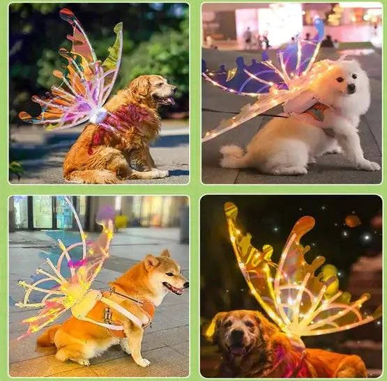 Ethereal Pixie Wings: Transform Into a Magical Being with Our Enchanting Costume Wings - Home Kartz