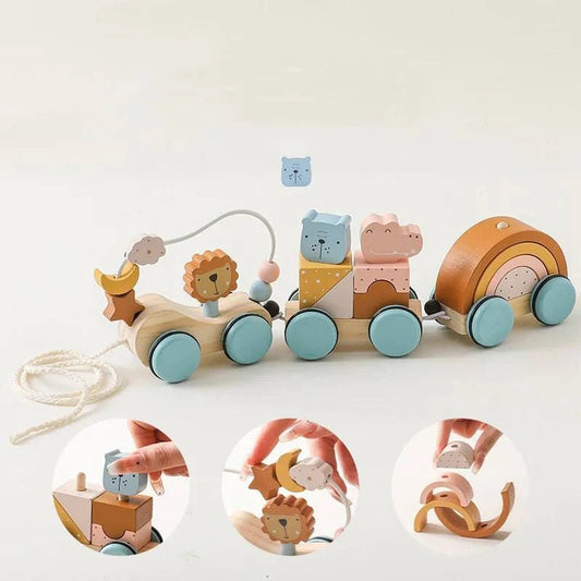 Wooden Montessori Puzzle Toy | Educational Puzzles For Kids - Home Kartz